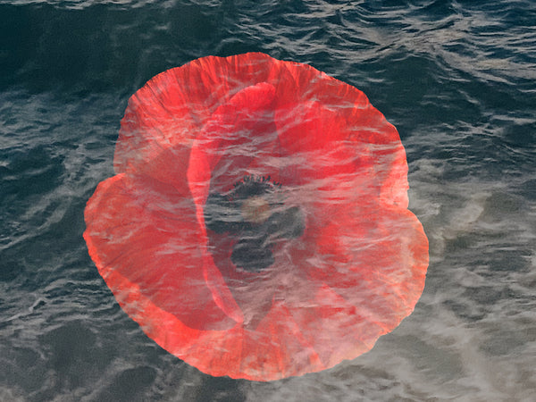 Martyr's Rose