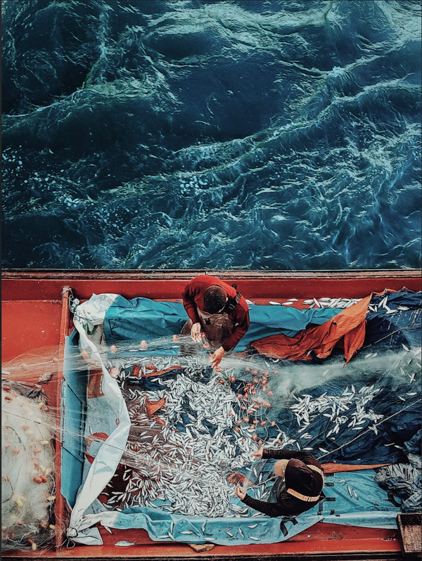 Fishermen in the village of Al-Max in Alexandria