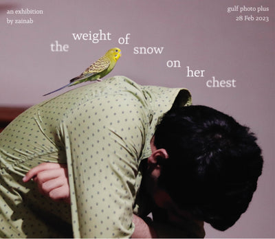 The Weight of Snow on Her Chest (artist talk)