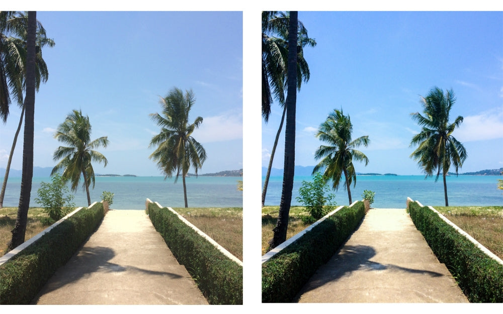 5 Must Have Apps for Mobile Photography
