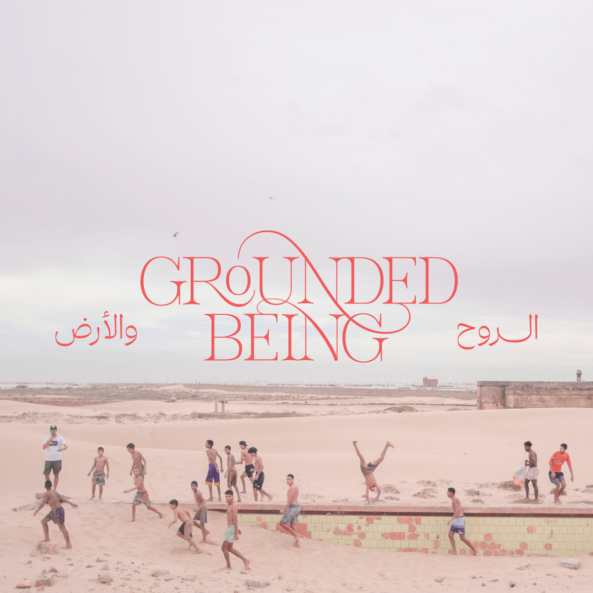 Editions from Grounded Being
