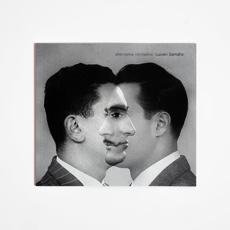 alternative normative