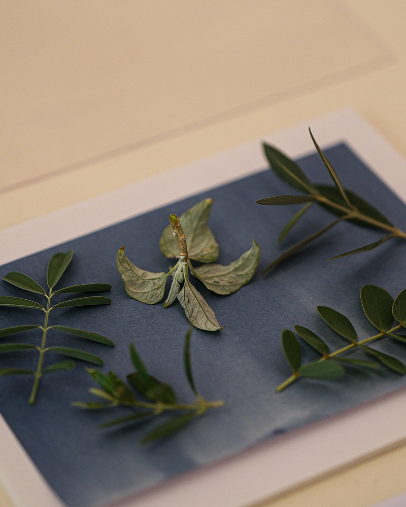 Cyanotype Workshop