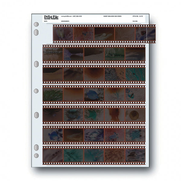 Archival Storage Sleeves