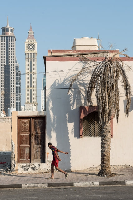 The Kid and the Palm Tree