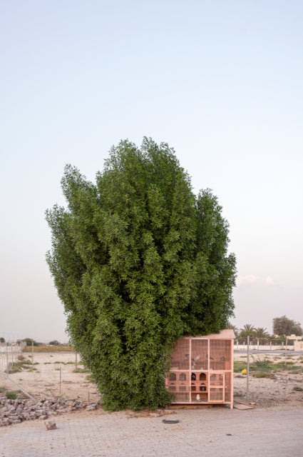 Al Hamriyah