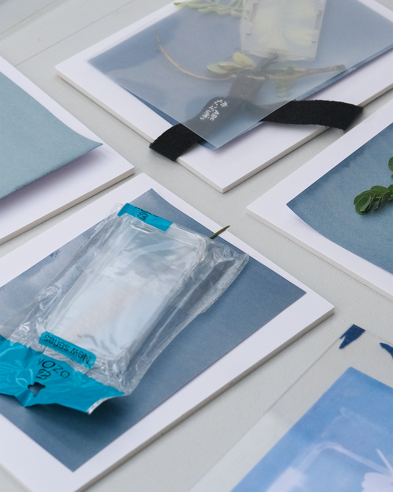 Cyanotype Workshop