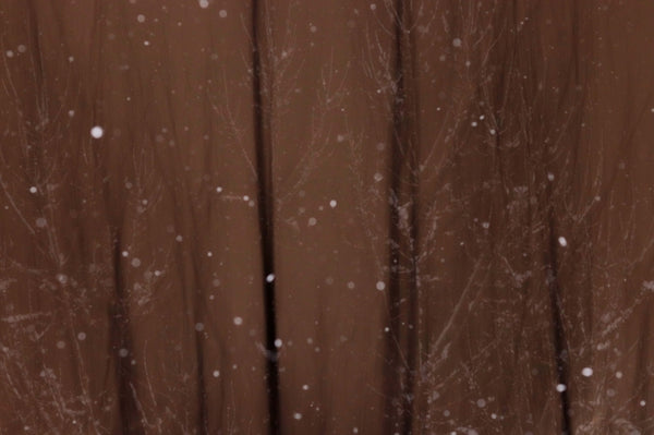 Untitled 5, from “The Weight of Snow on Her Chest”