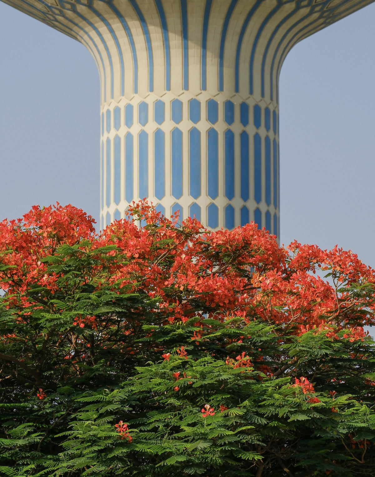 Flame Tower, Altamash Javed