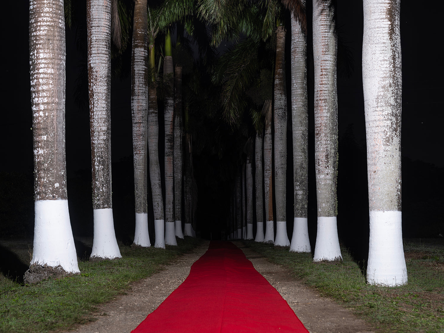 The Path