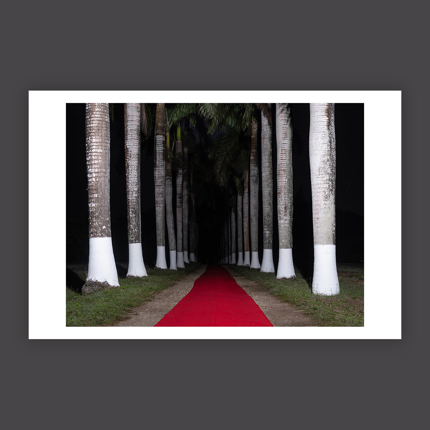 The Path