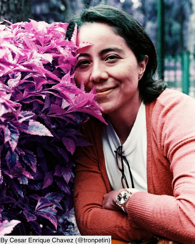 LomoChrome Purple | Color Negative Film