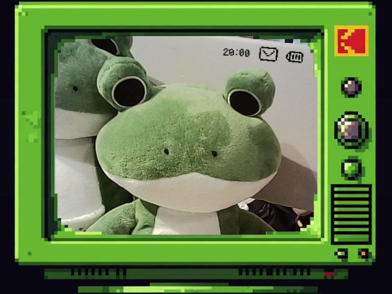 Kodak Charmera Millennium frame — CRT Television