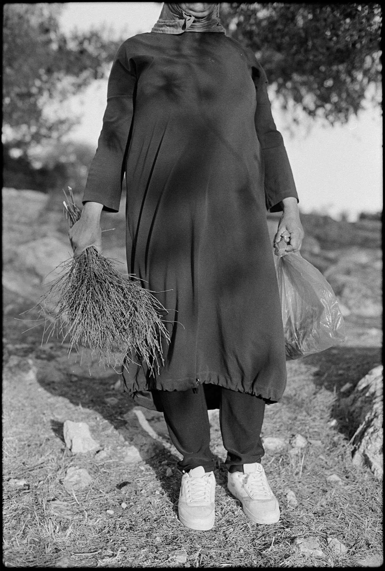 From the Southern Hebron Hills