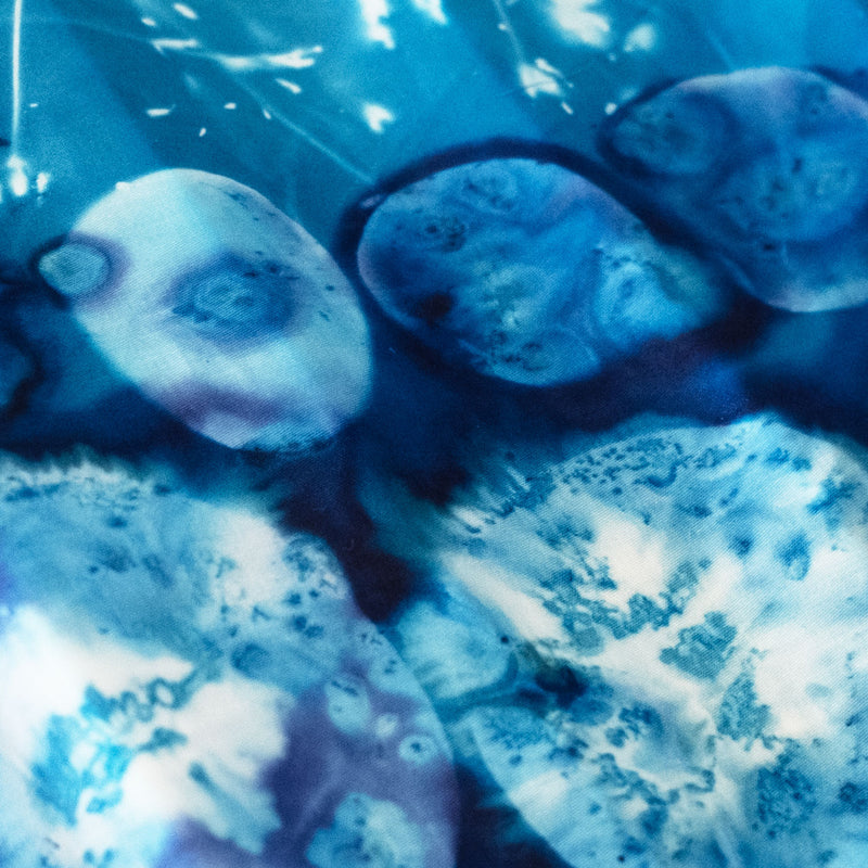 The Culinary Cyanotype