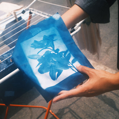The Culinary Cyanotype