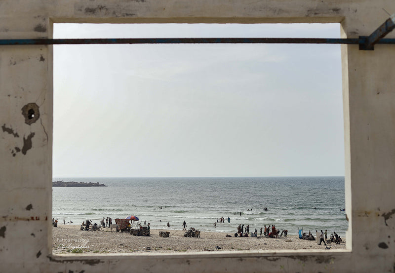 A Room with a View