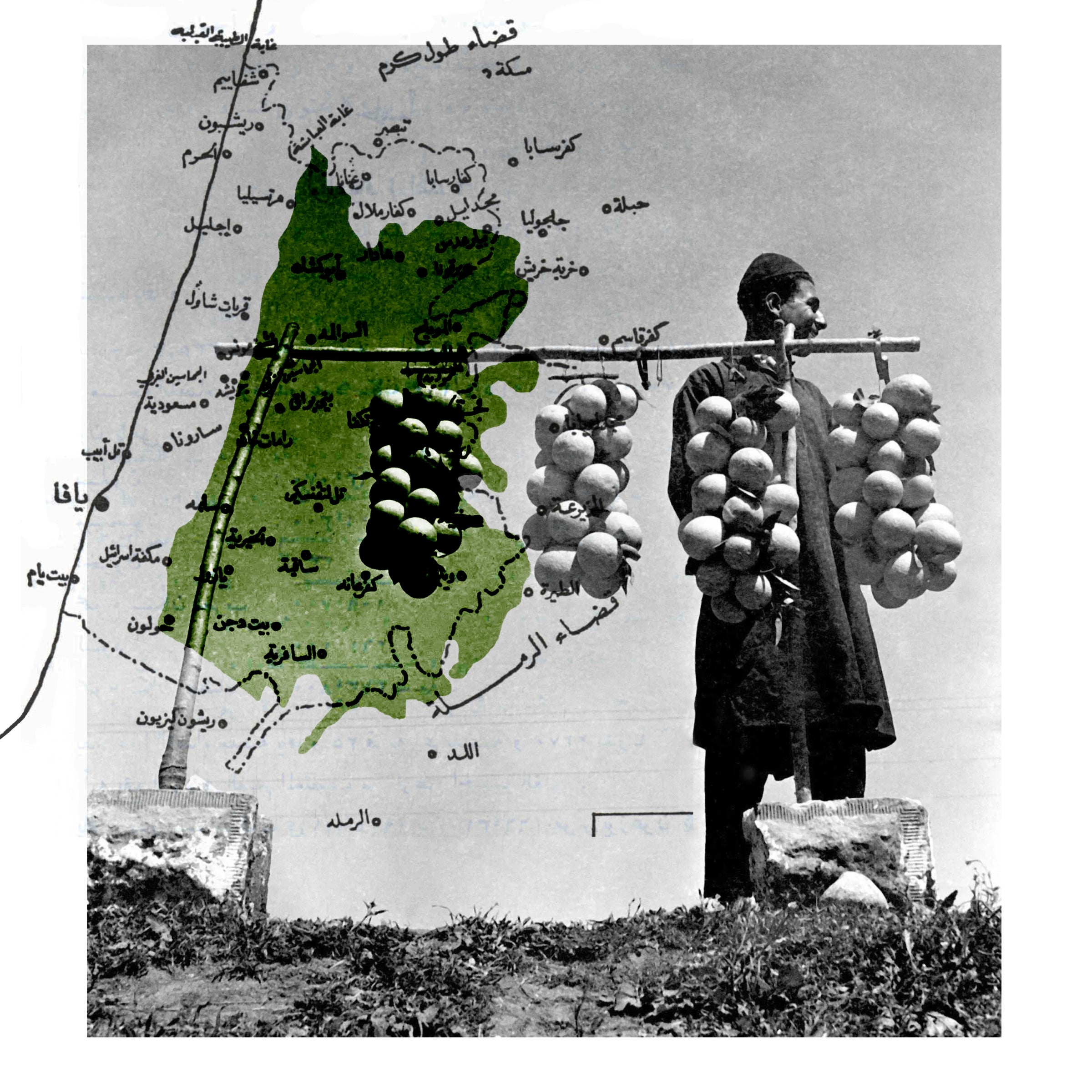 Jaffa