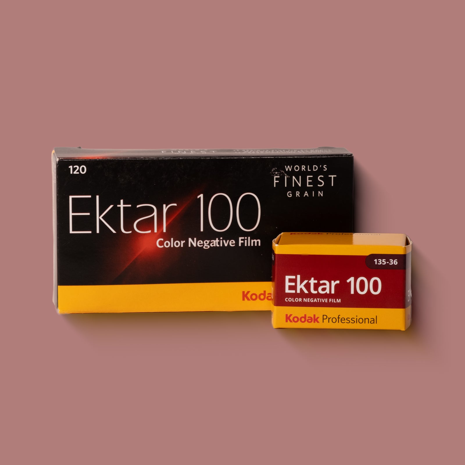 Kodak Ektar 100 | Color Negative Film