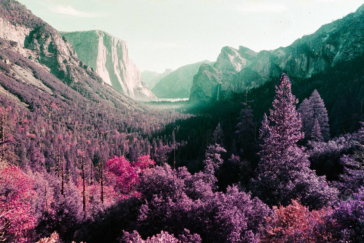 Film