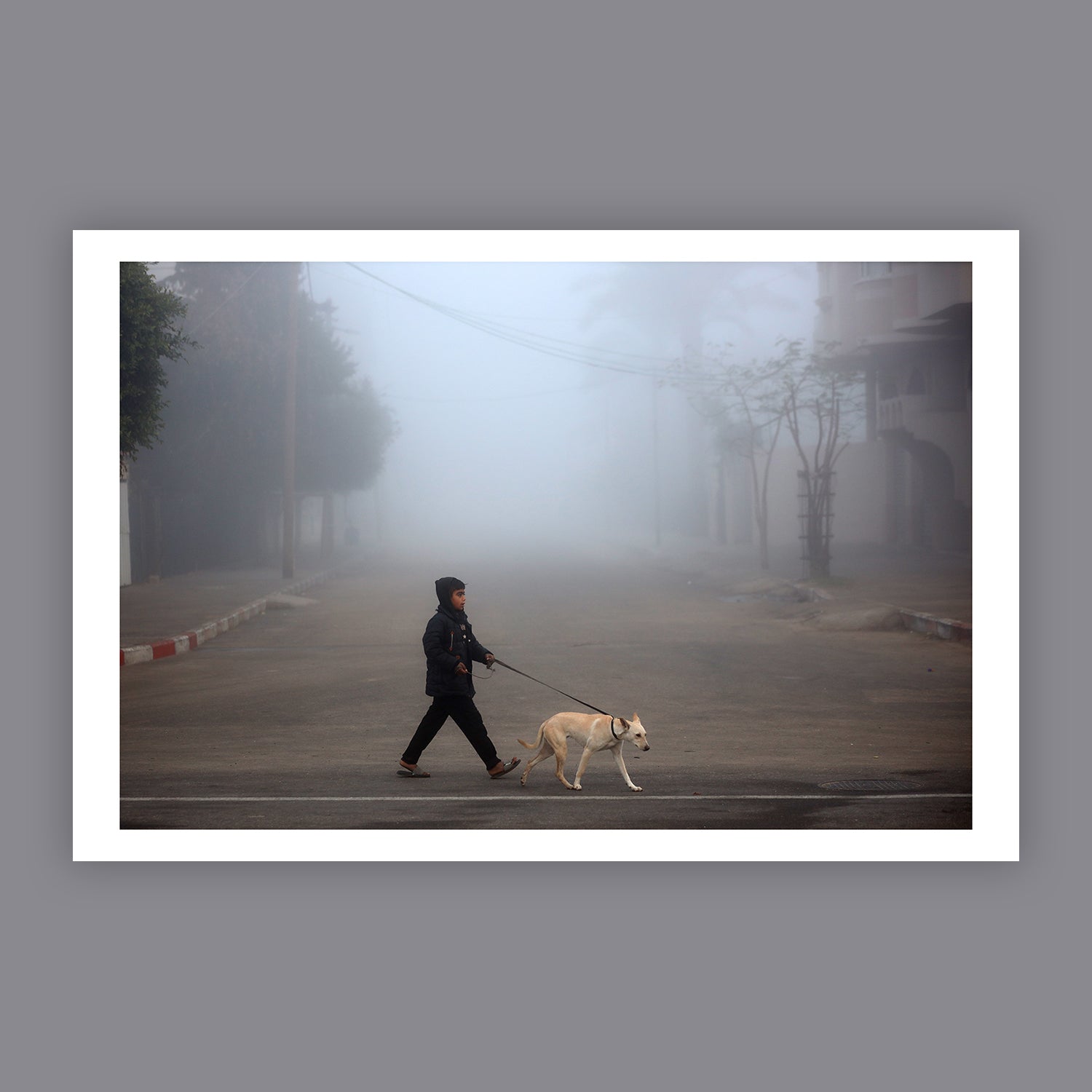 Through the Fog