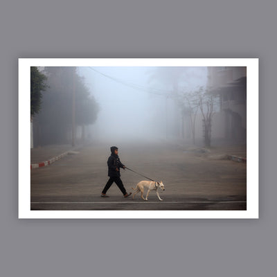 Through the Fog