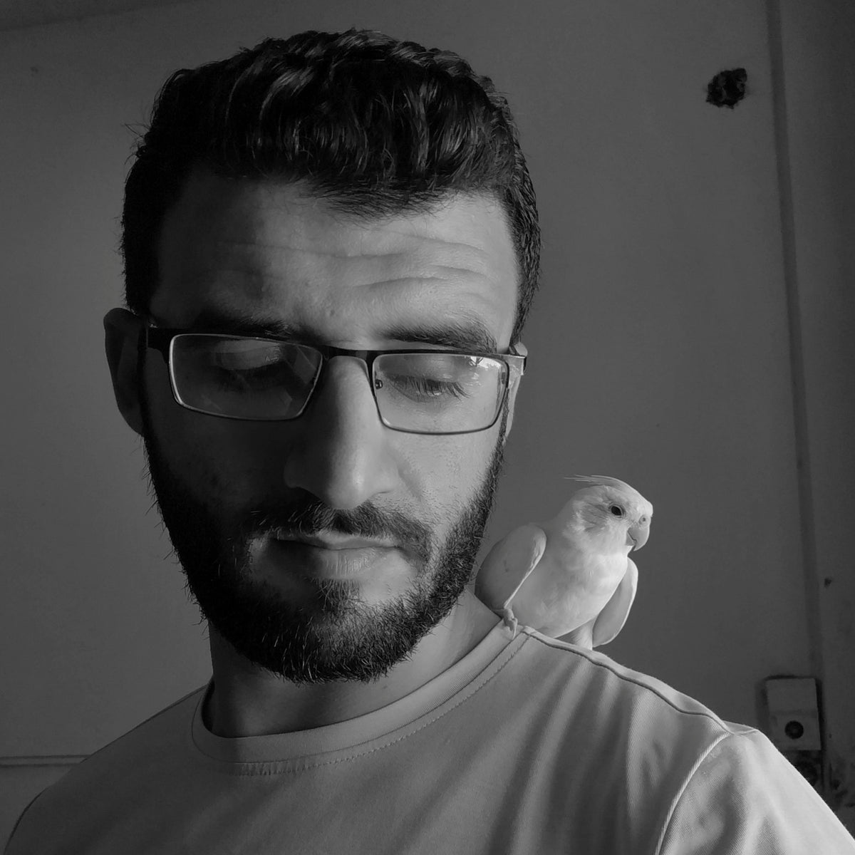 Majd Arandas