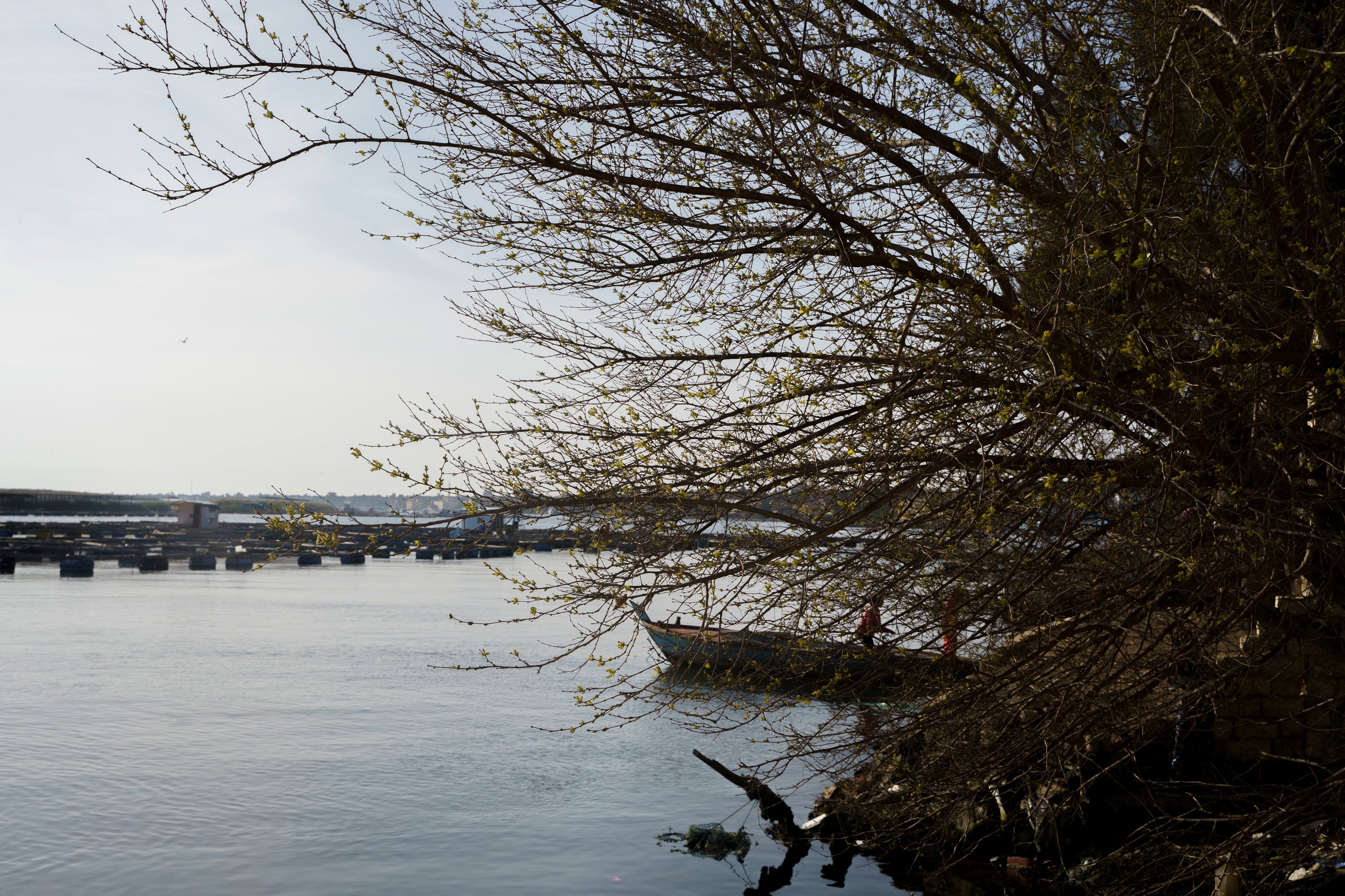 The Nile and nature