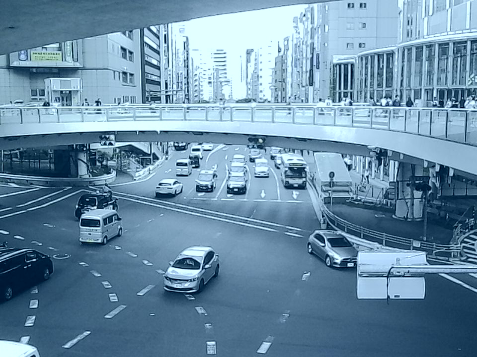 Kodak Charmera sample — Cool tone