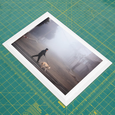 Through the Fog