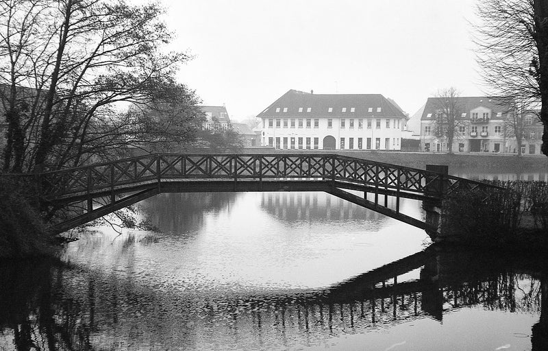 Ilford XP2 Super 400 | B&W Negative Film