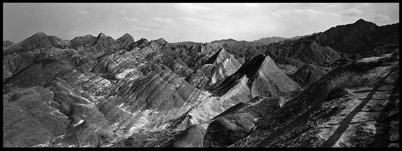 Ilford Delta 400 | B&W Negative Film