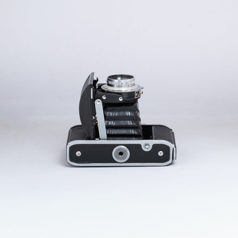 Voigtländer Perkeo I — side · view 6