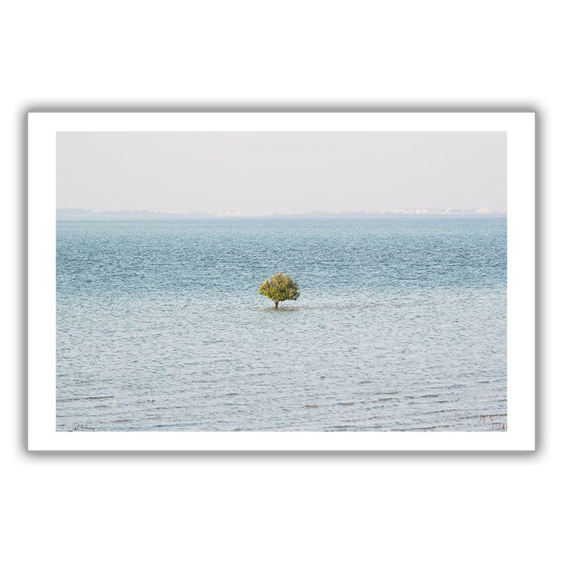 A Tree In The Sea